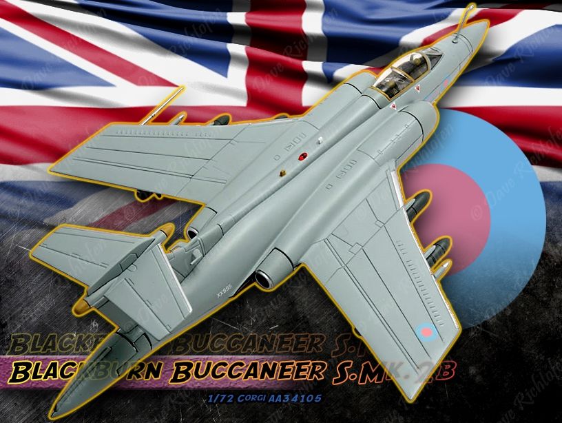 corgi buccaneer